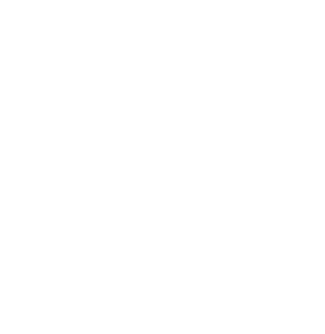 Black White Minimalist Professional Initial Logo